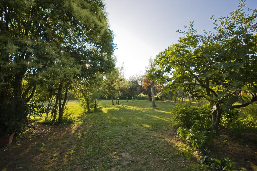 Case Vacanza La Ventura Massarosa Zewnętrze zdjęcie